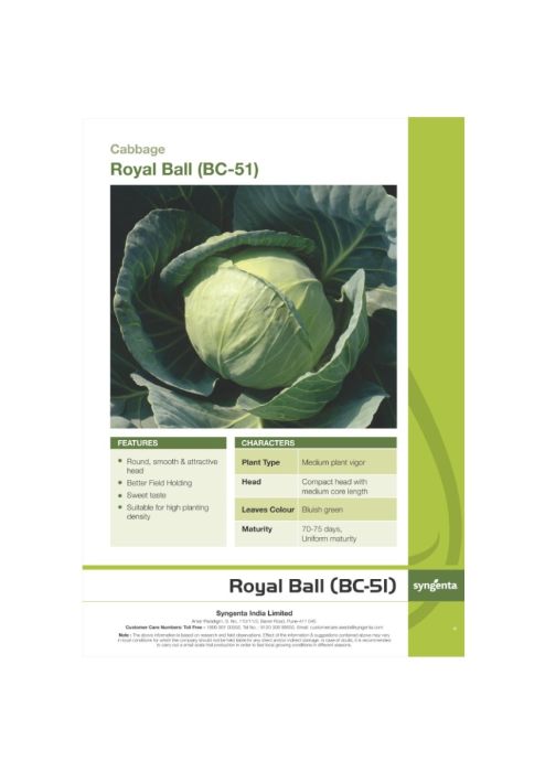 Syngenta Royal Ball (BC-51) Cabbage Hybrid Seeds 2000SD