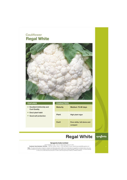 Syngenta CFL Regal White (C-2071) Cauliflower Hybrid Seeds 2000SD