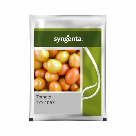 Syngenta TO-1057 Tomato Hybrid Seeds 3000SD