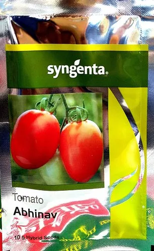 Syngenta Abhinav Tomato Hybrid Seeds 3500SD