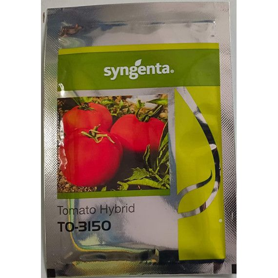 Syngenta TO-3150 Tomato Hybrid Seeds 3000SD