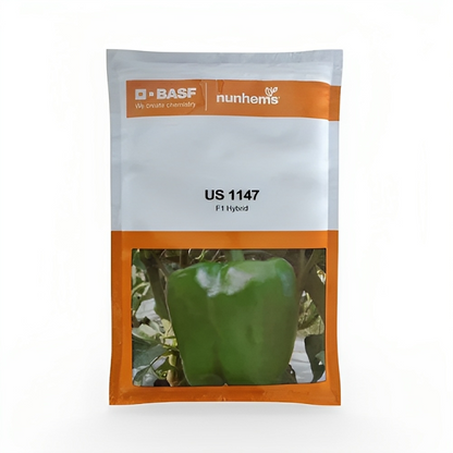 BASF nunhems US 1147 F1 Hybrid Sweet Pepper Seeds