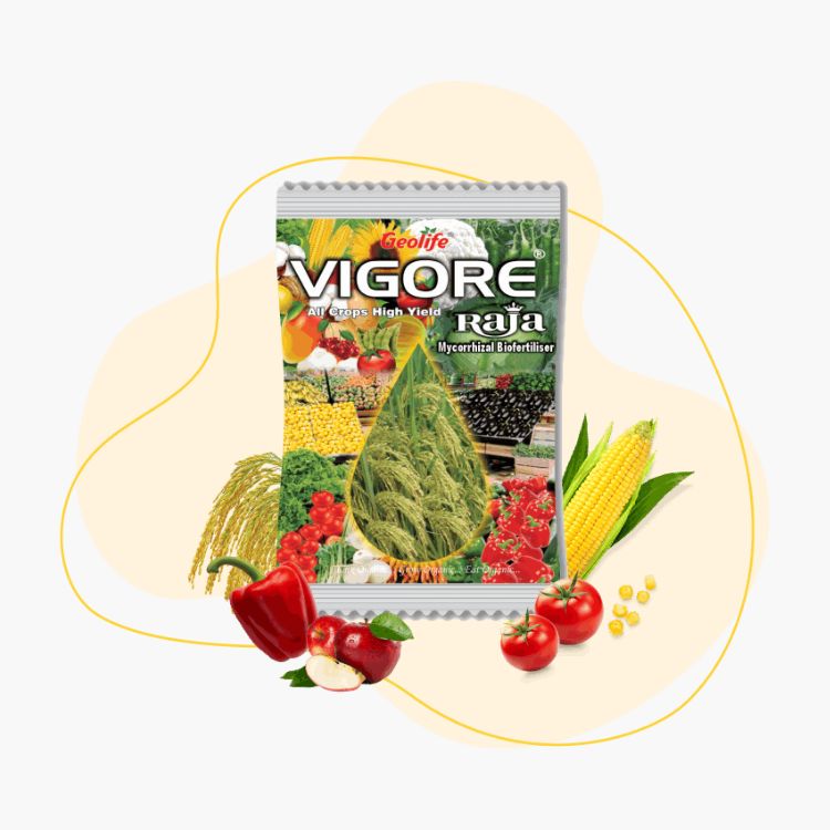 Geolife Vigore Raja High Performing Bio Fertilizer