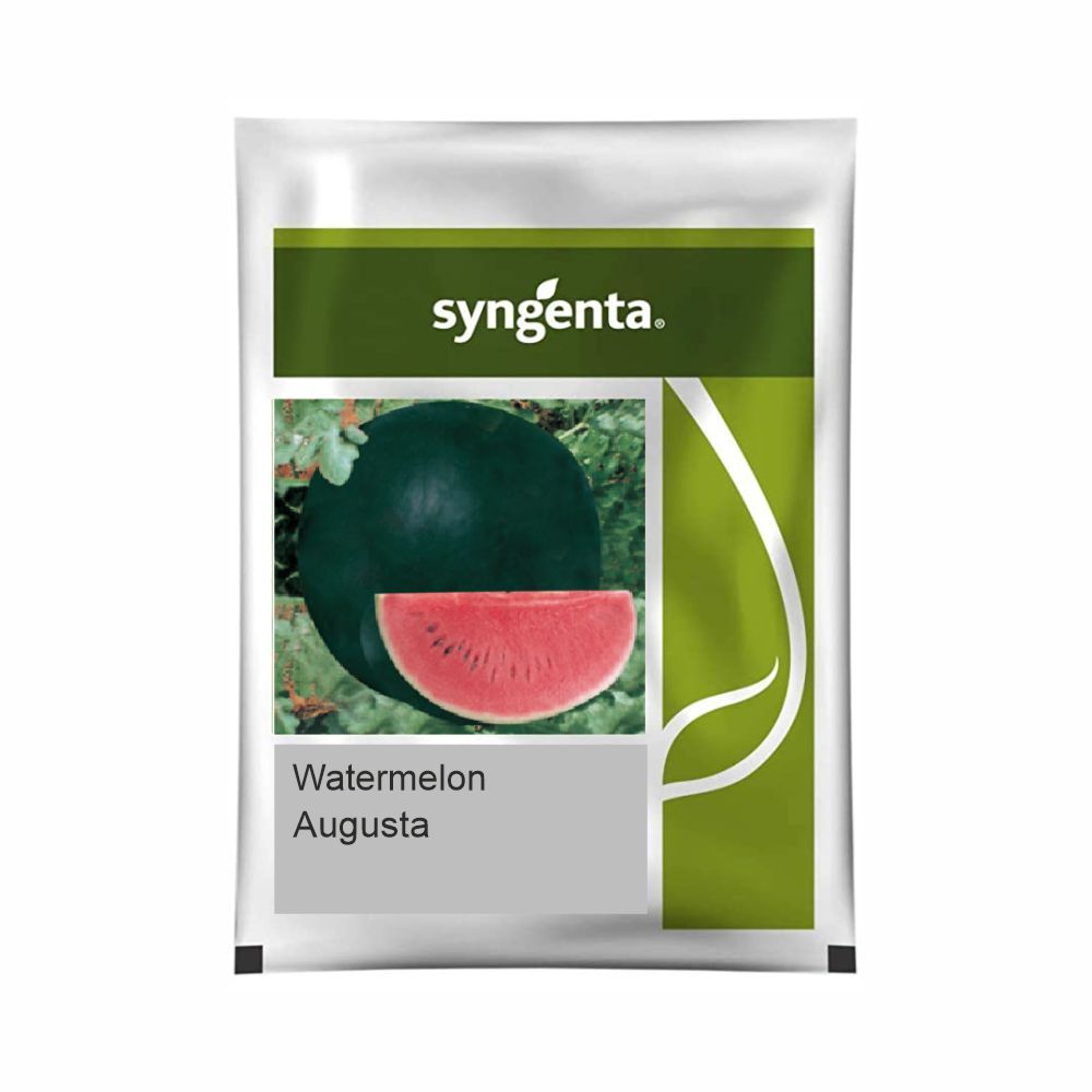 Syngenta Augusta Watermelon Hybrid Seeds 800SD