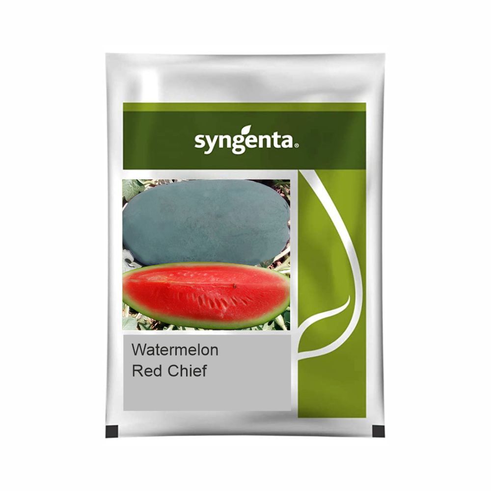 Syngenta Red Chief Watermelon Hybrid Seeds 1000SD