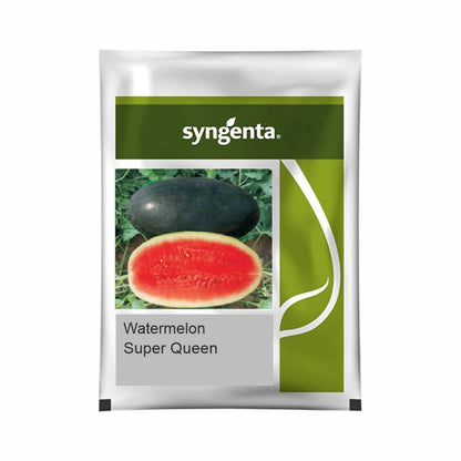 Syngenta Sugar Queen Watermelon Hybrid Seeds 1000SD