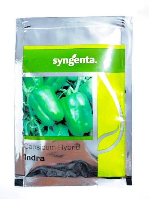 Syngenta Indra Capsicum Hybrid Seeds 1500SD