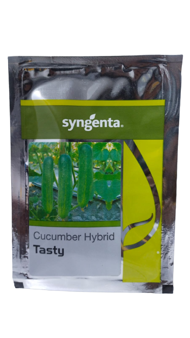 Syngenta Tasty Cucumber Hybrid Seeds 10gm