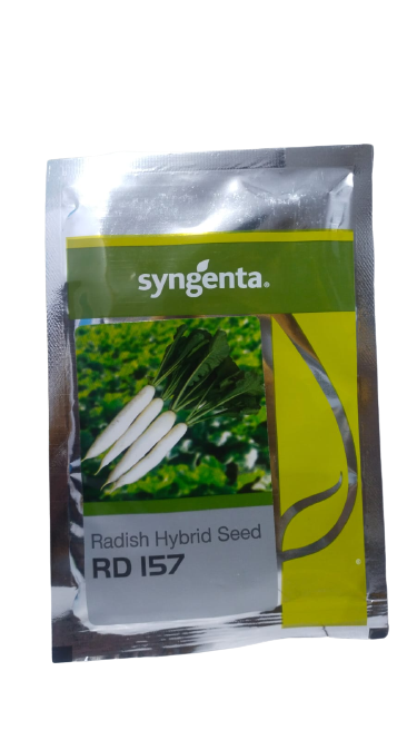 Syngenta RD 157 Radish Hybrid Seeds 50gm