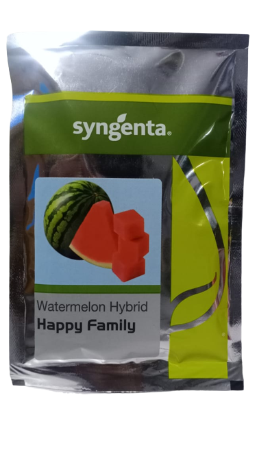 Syngenta Happy Family (Seedless) Watermelon Hybrid Seeds 1000SD