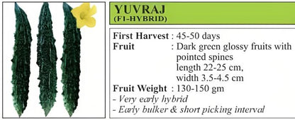 VNR Yuvraj Bitter Gourd Hybrid Seeds-50 Gm