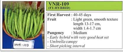 VNR 109 Chilli Hybrid Seeds 10 Gm