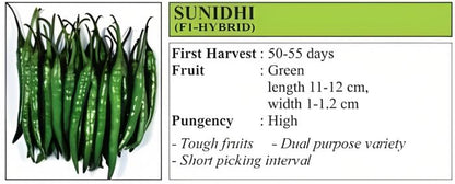 VNR Sunidhi Chilli Hybrid Seeds 10 Gm