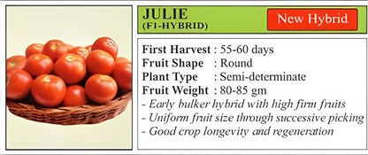 VNR Julie Tomato Hybrid Seeds 10 Gm
